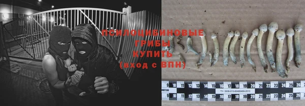 дурь Краснослободск