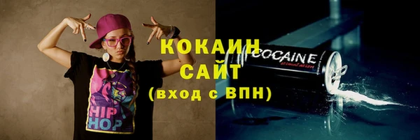 дурь Краснослободск