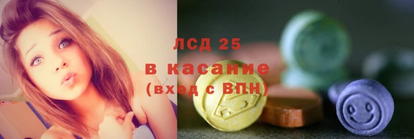 дурь Краснослободск