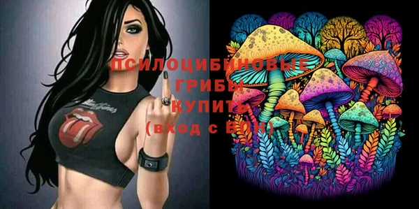 МДПВ Красноперекопск