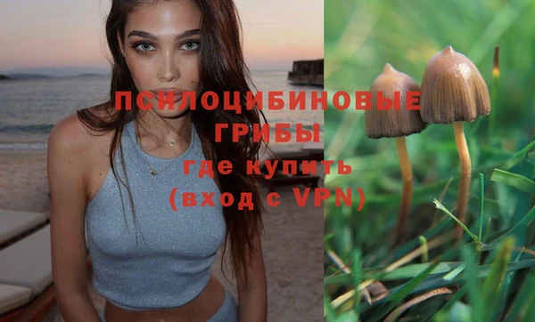 прущая мука Переславль-Залесский