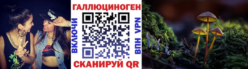 Галлюциногенные грибы ЛСД  дарнет шоп  Тимашёвск 